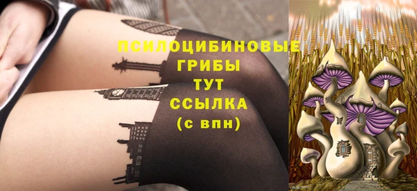 герыч Вязьма
