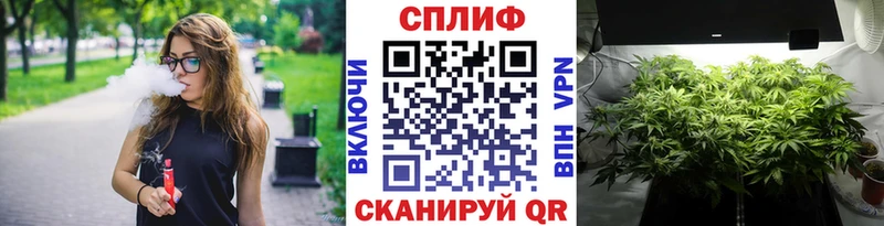 Каннабис ГИДРОПОН  Купить закладки  Няндома 